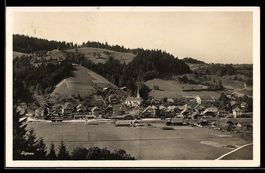 AK Signau, Ortsansicht mit Umgebung