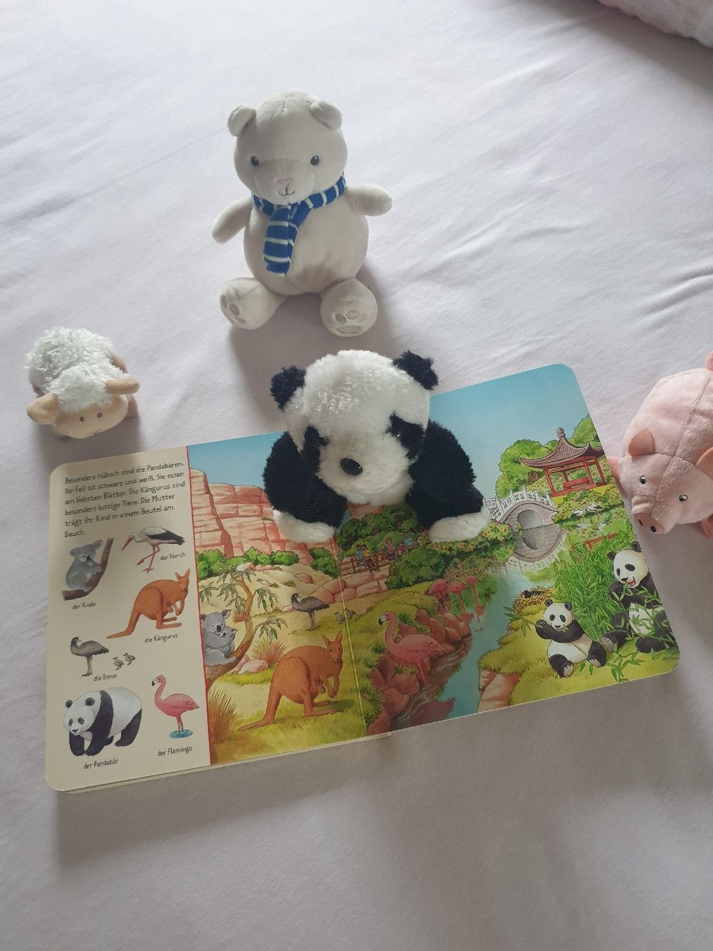 Giocattoli: Tierbuch Bilder suchen & 5 passende Kuscheltiere – Usato da Winterthur venduto da ivo_hmm2 3