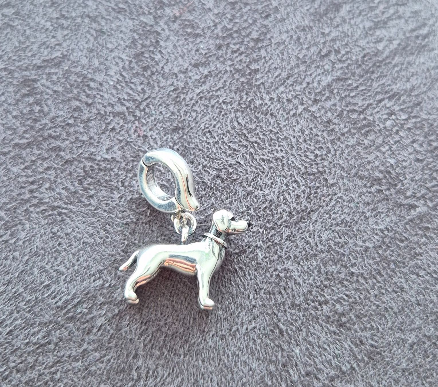 Ciondoli: Silber Charm Labrador Hund +Garantie – Nuovo (secondo la descrizione) da Rotkreuz venduto da Carbone_Bijou-Shop 1