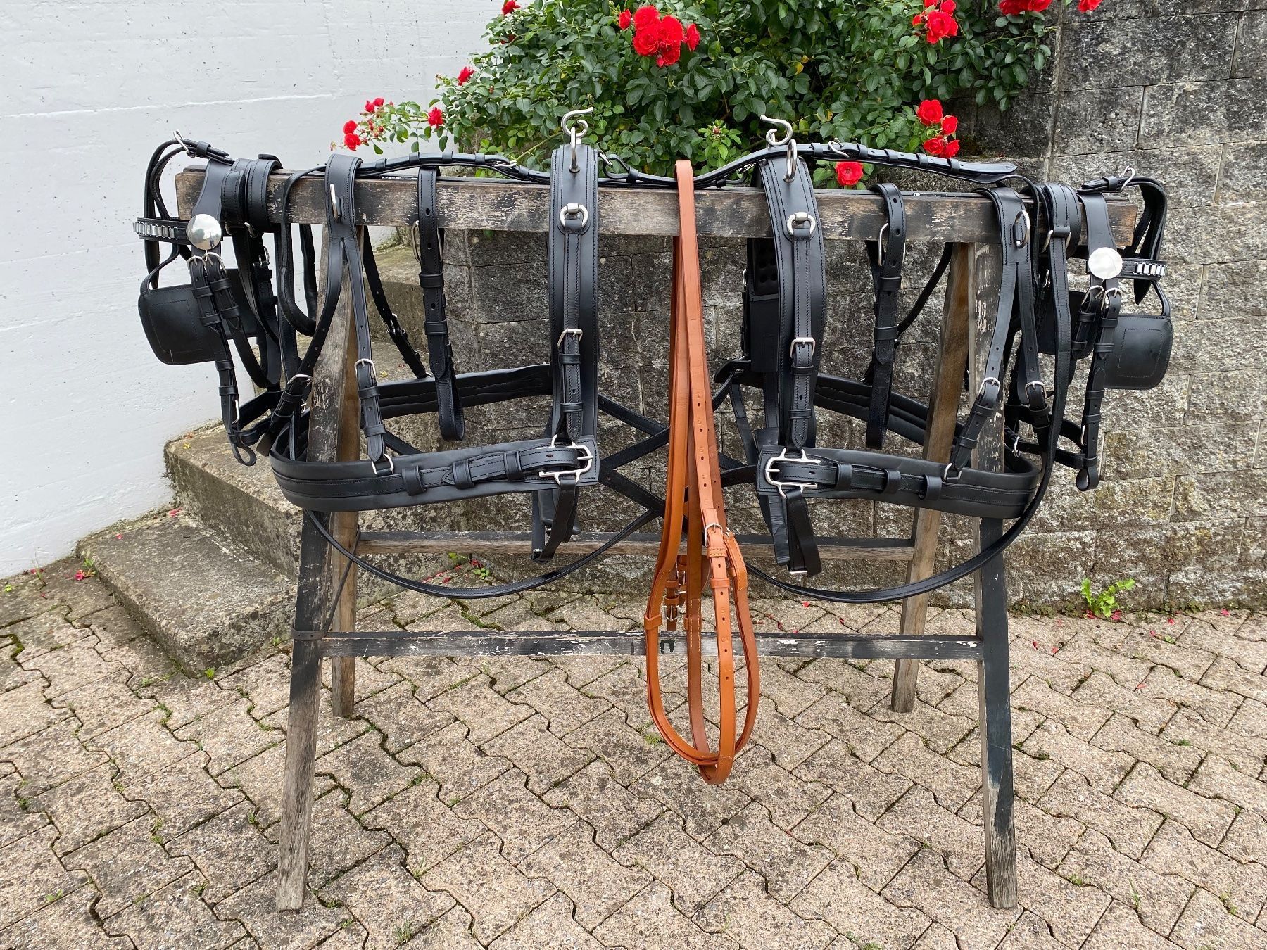 Kutschen: 1 Paar schöne zweispännige Ponygeschirre – Gebraucht aus Feldbach von Fea1 8