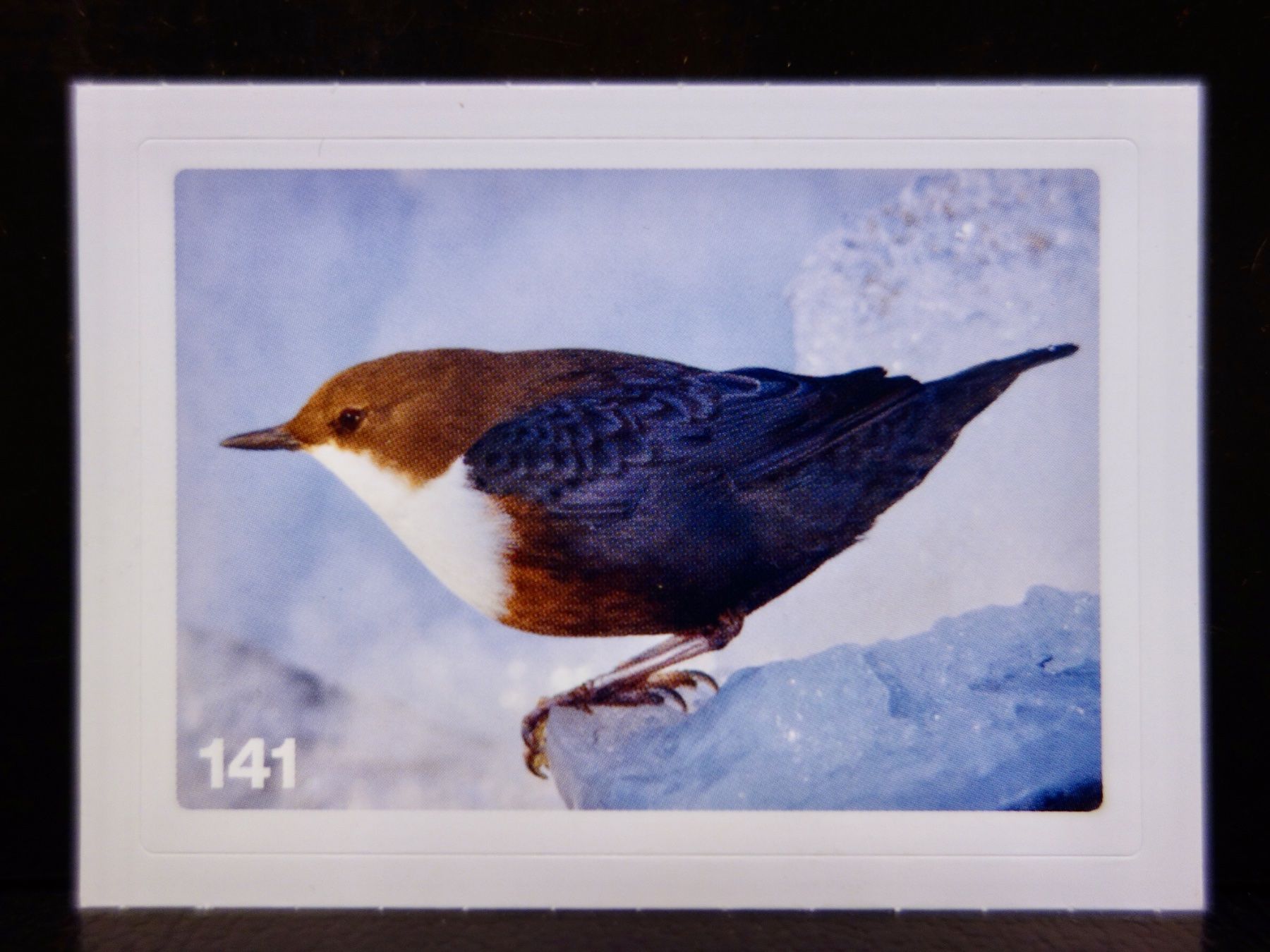 Migros Carte collezionabili: MIGROS MANIA Nature Detectives Nr. 141 – Nuovo e nell'imballaggio originale da Kerzers venduto da djstarsky73