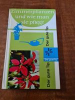 Zimmerpflanzen und wie man sie pflegt