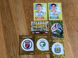 Panini Sticker 