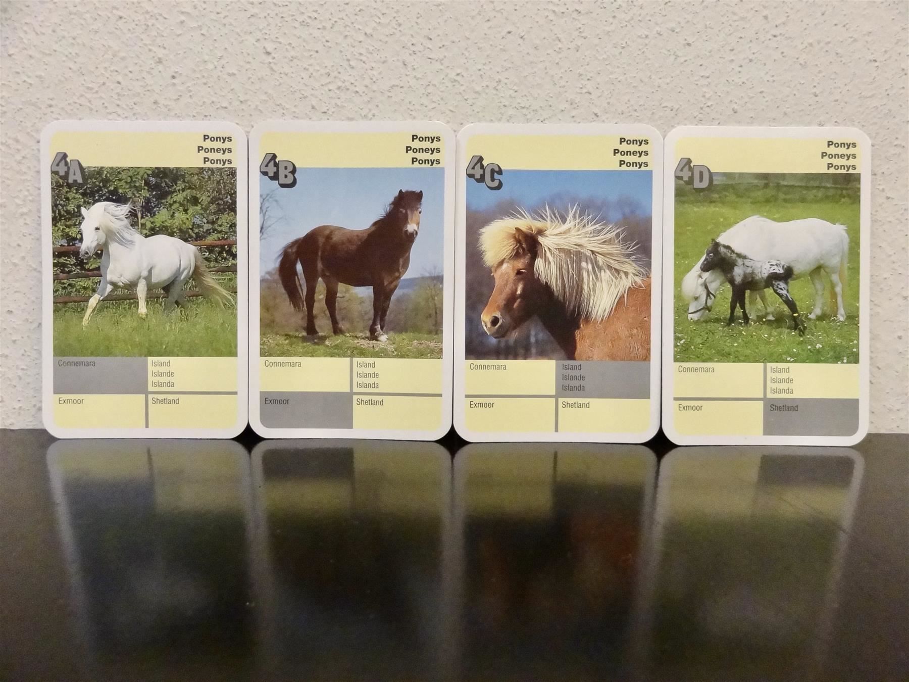 Ravensburger Giochi: Quartett TIER-QUARTETT PFERDE PFERD – Usato da Kerzers venduto da wisaundso 6