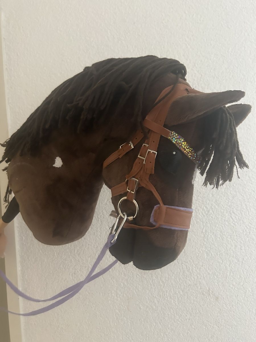 Jouets: Hobby horse – Neuf (Voir description) à Busswil TG par pipolina 1