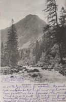 ADELBODEN - Engstligenbach - 1916