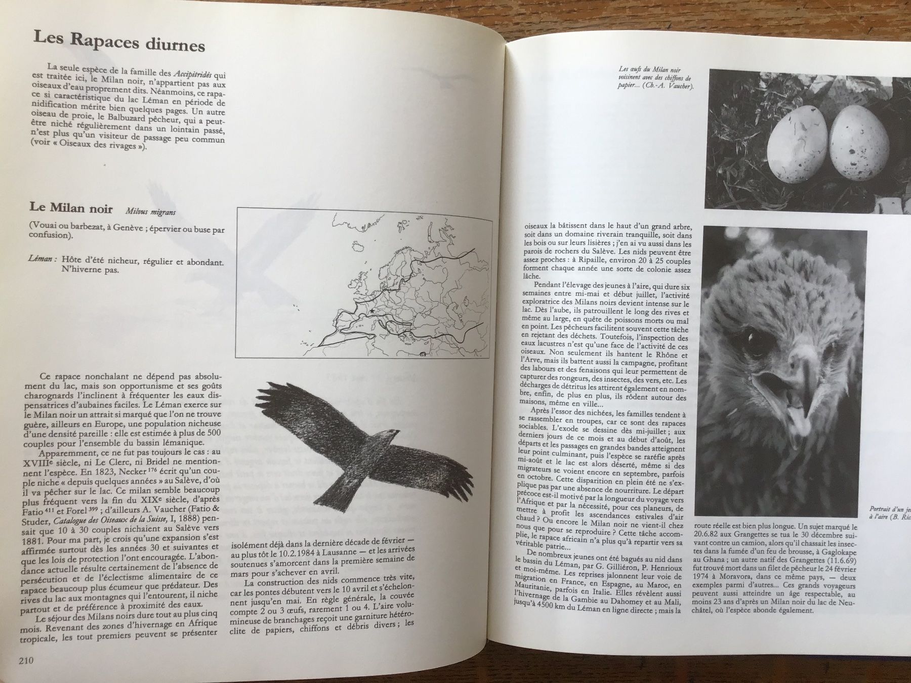 Libri: Les oiseaux du Lac Léman – Usato da Fully venduto da Ruby97 8