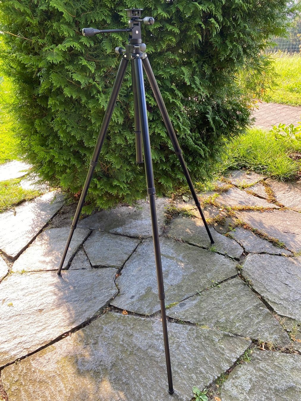 Leitz Fotocamera: E. Leitz Tiltall Tripod 4602 Stativ – Usato da Feldbach venduto da Fea1 8