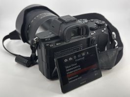 Sony A7 iii+ Sony FE 24–240mm f/3.5–6.3 OSS Objektiv..