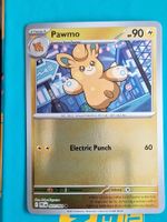 Pawmo - Reverse Holo - Pokemon Phantasmal Flames