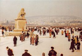 Zürichseegfrörni 1963, beim Löwendenkmal
