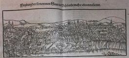 Fribourg Originalholzschnitt 1550
