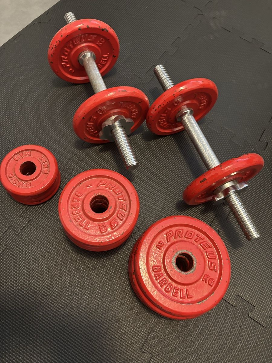 Set 2 Manubri Componibili in Ghisa Proteus + 24 kg di Pesi (D'occasion ...