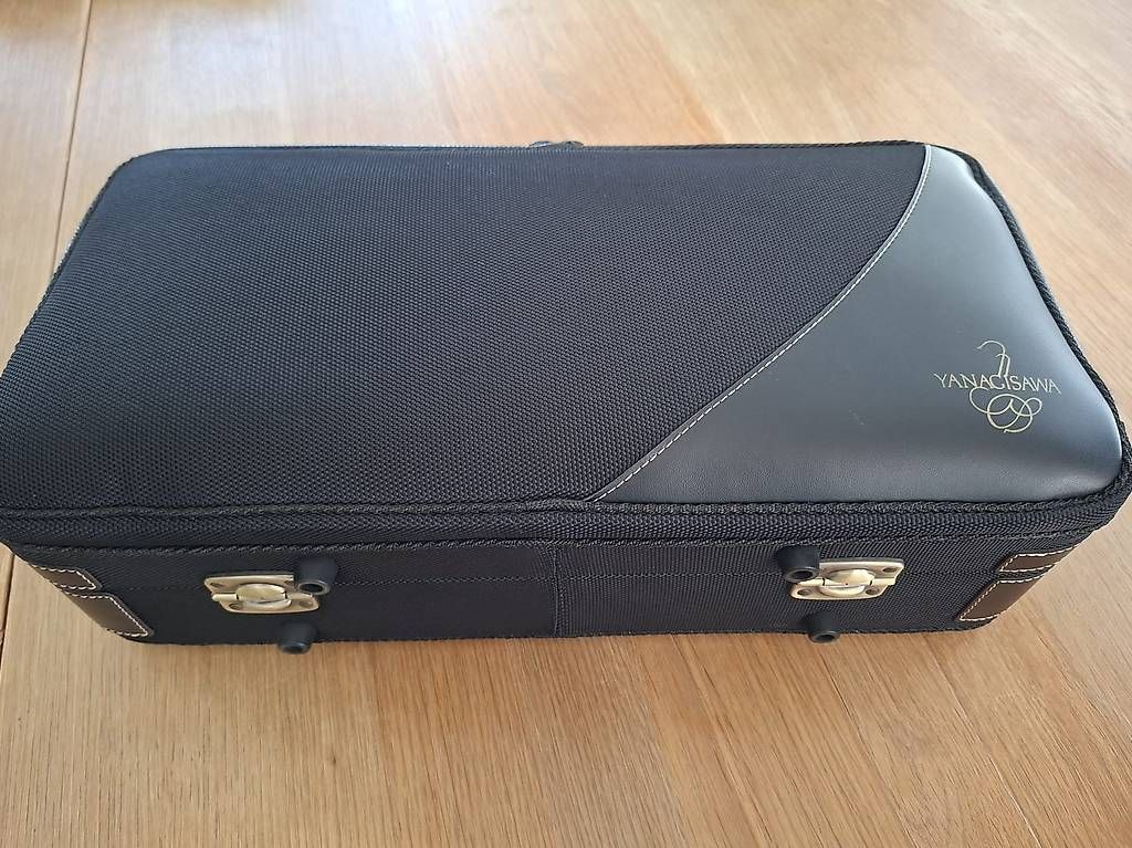 Strumenti musicali: Saxophone soprano courbe  – Usato da AIGLE venduto da jua_7np8 1