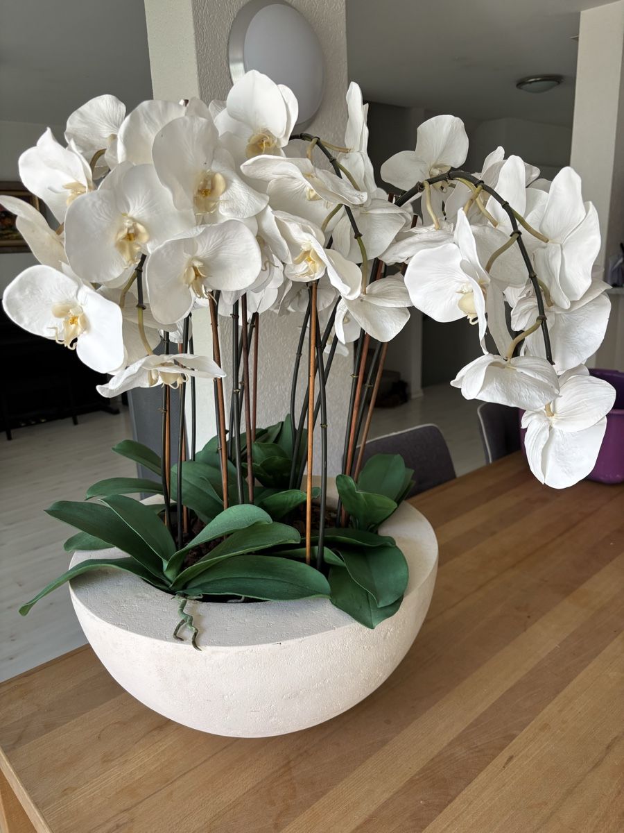 Tutte le decorazioni: Künstliche Orchidee Durchmesser 50cm Höhe 80cm – Usato da Fällanden venduto da Ustupsi 1