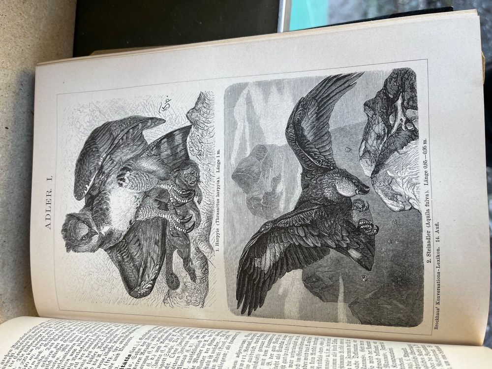 Livres: brockhaus konversations lexikon, 1894, 16 bände+1, lithos – D'occasion à Emmenmatt par flyrecords 8