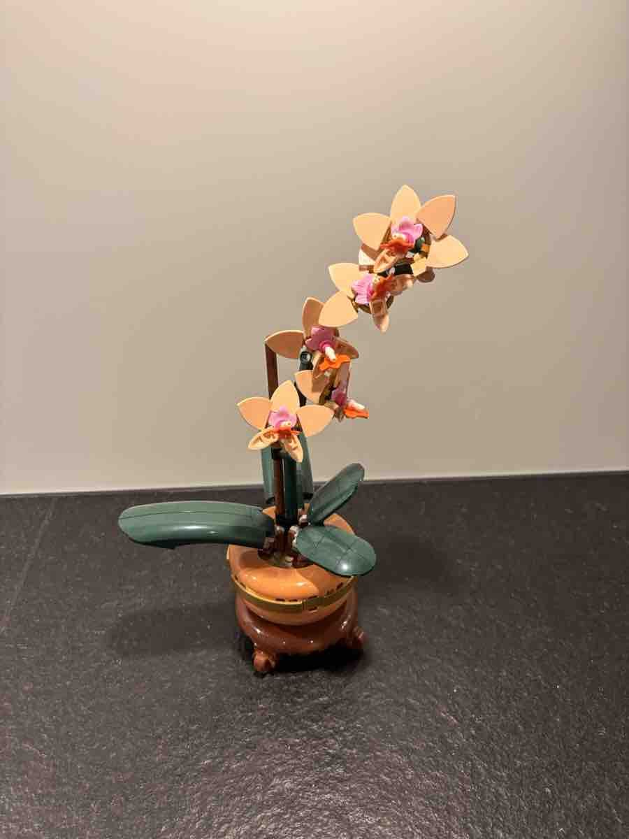 Lego Kit di costruzioni: Lego Botanical Collection Orchidee Set gebraucht – Usato da Burgdorf venduto da neB_nimaj34