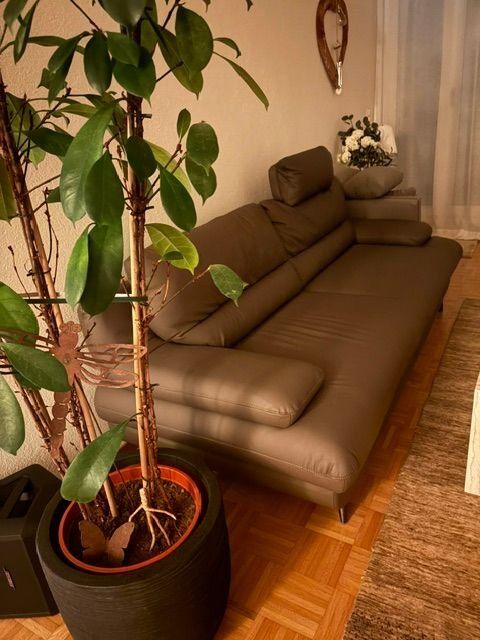Divani: Leder 3 - er Sofa, NEU! – Usato da Walenstadt venduto da ricamul 6