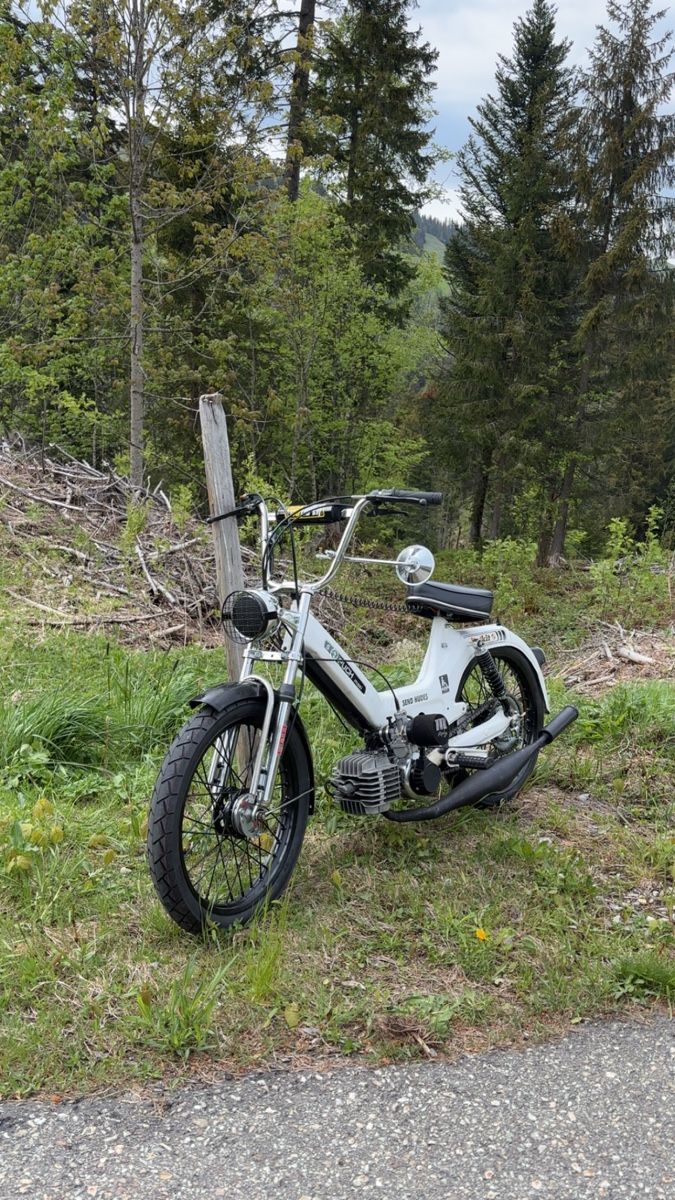 Puch Ciclomotori: Puch Maxi S – Nuovo (secondo la descrizione) da Schüpfheim venduto da dapistel