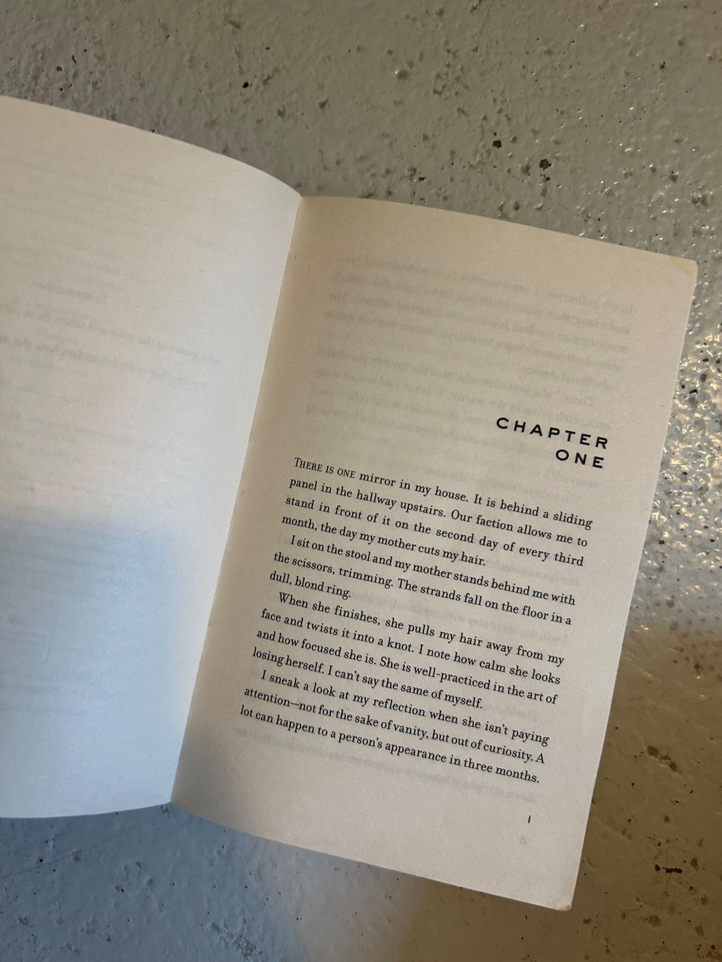 Livres: Divergent (Veronica Roth) – D'occasion à Wabern par belka72 1