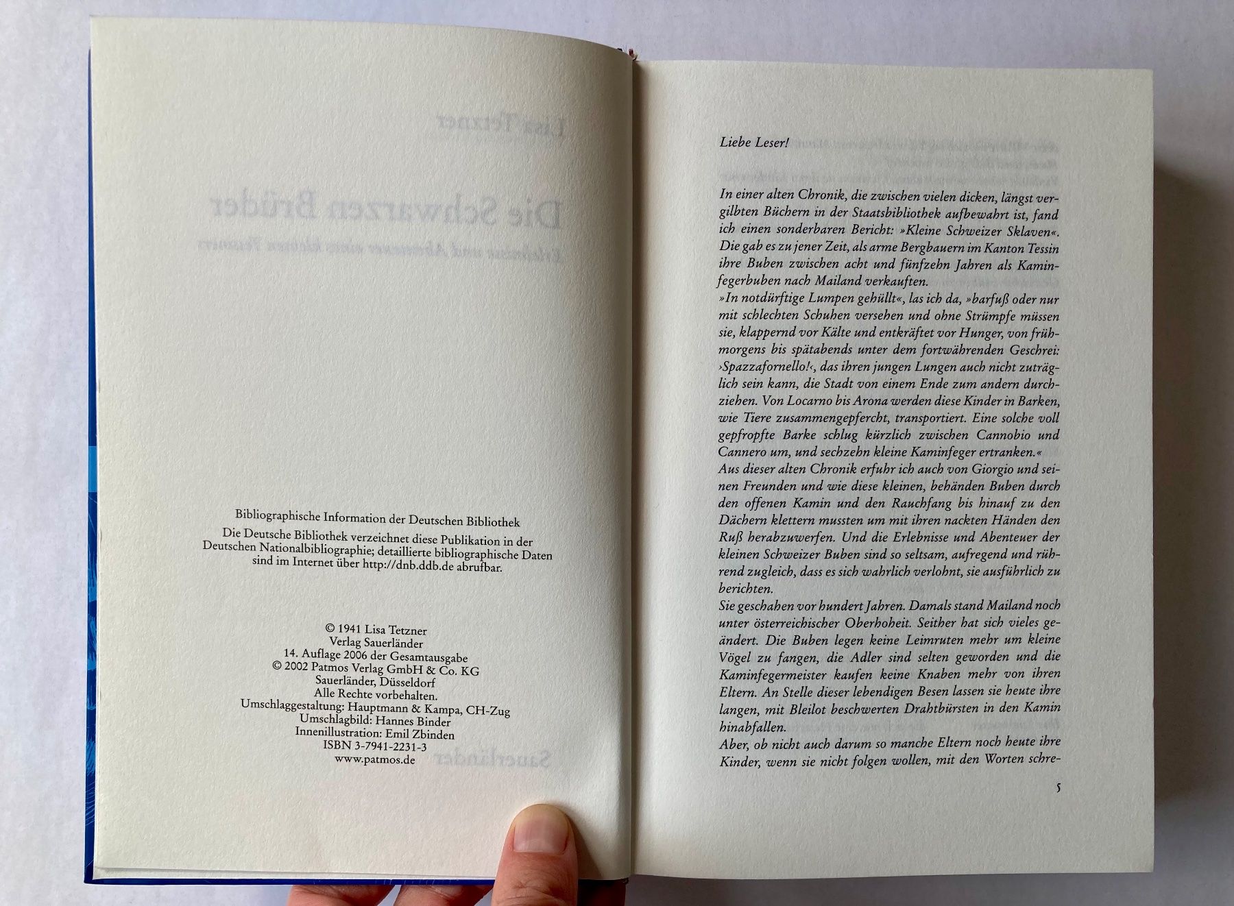 Libri: Lisa Tetzner - Die Schwarzen Brüder – Usato da Bubendorf venduto da Alpenheidi 3