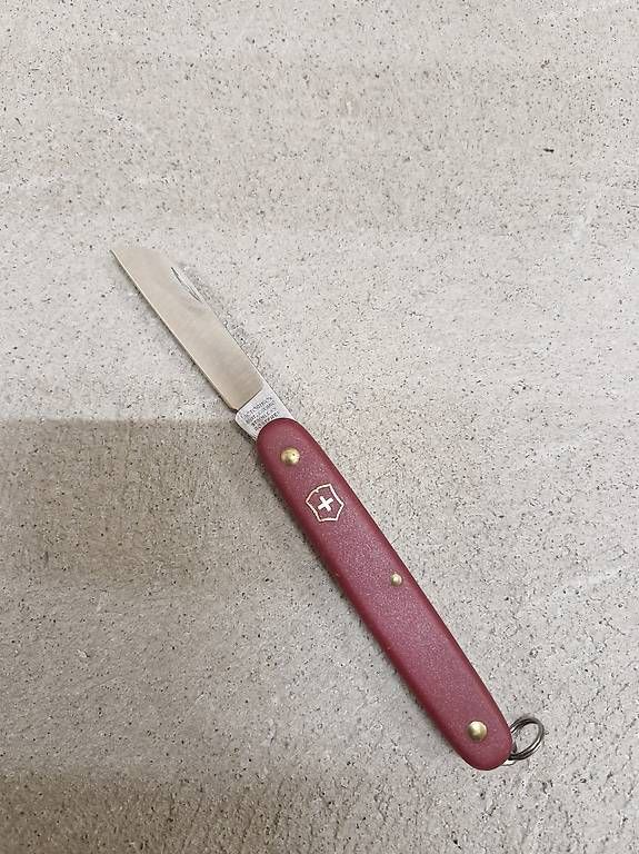 Victorinox Accessori: Gärtnermesser – Nuovo (secondo la descrizione) da Malters venduto da marmot85 1