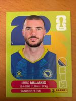 Panini BIH6