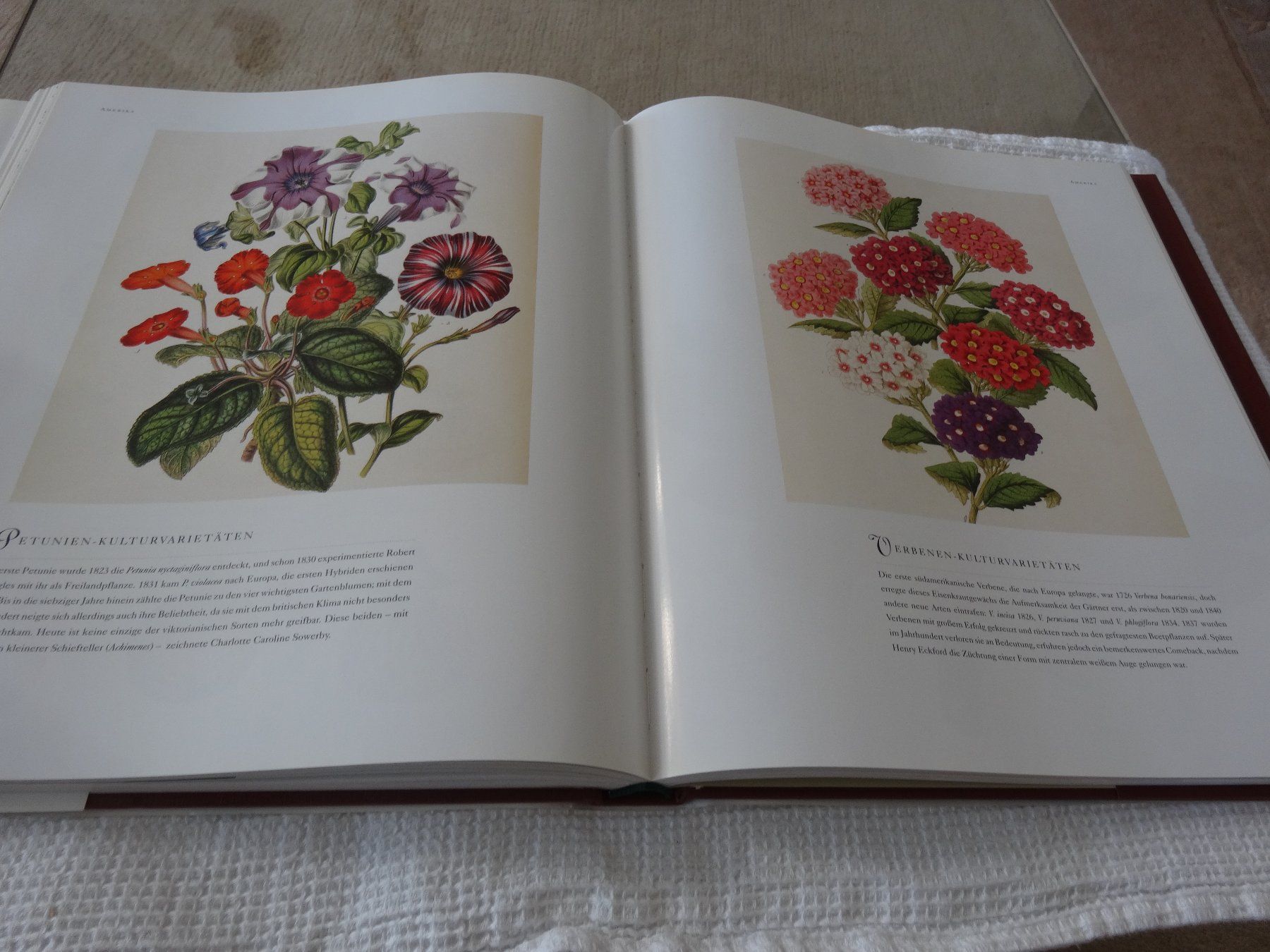 Libri: Flora  Der Duft der Ferne Brent Elliott – Usato da Neerach venduto da jenny062 8