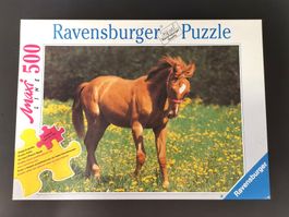 RAVENSBURGER Puzzle Pferd 500