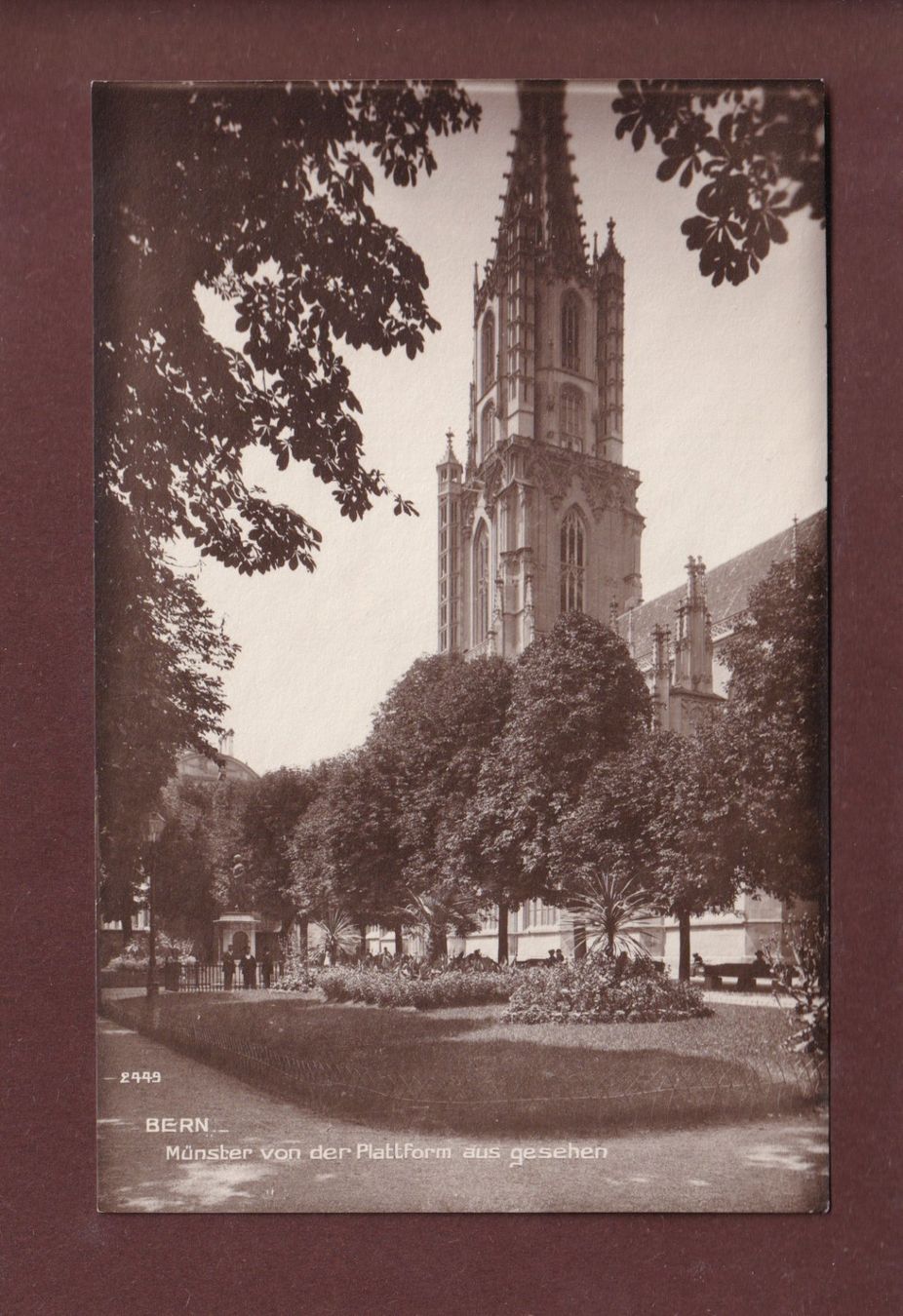 Cartoline postali: BERN - Münster von der Plattform – Usato da Pully venduto da nicecards
