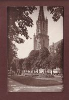 BERN - Münster von der Plattform