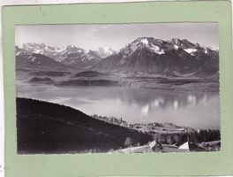 Aussicht von Haltenegg auf Thunersee 1955