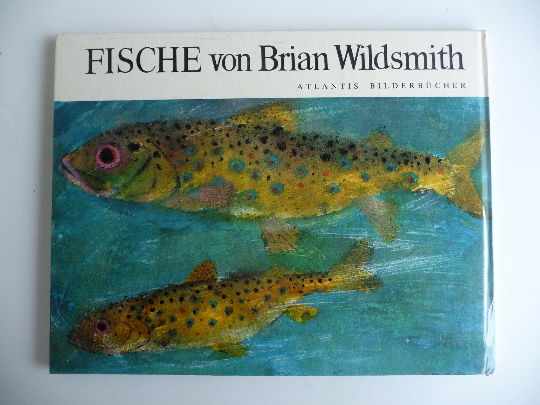 Libri: BRIAN WILDSMITH - FISCHE, ANTIKES KINDERBUCH – Usato da Aesch BL venduto da Imoonlight 6