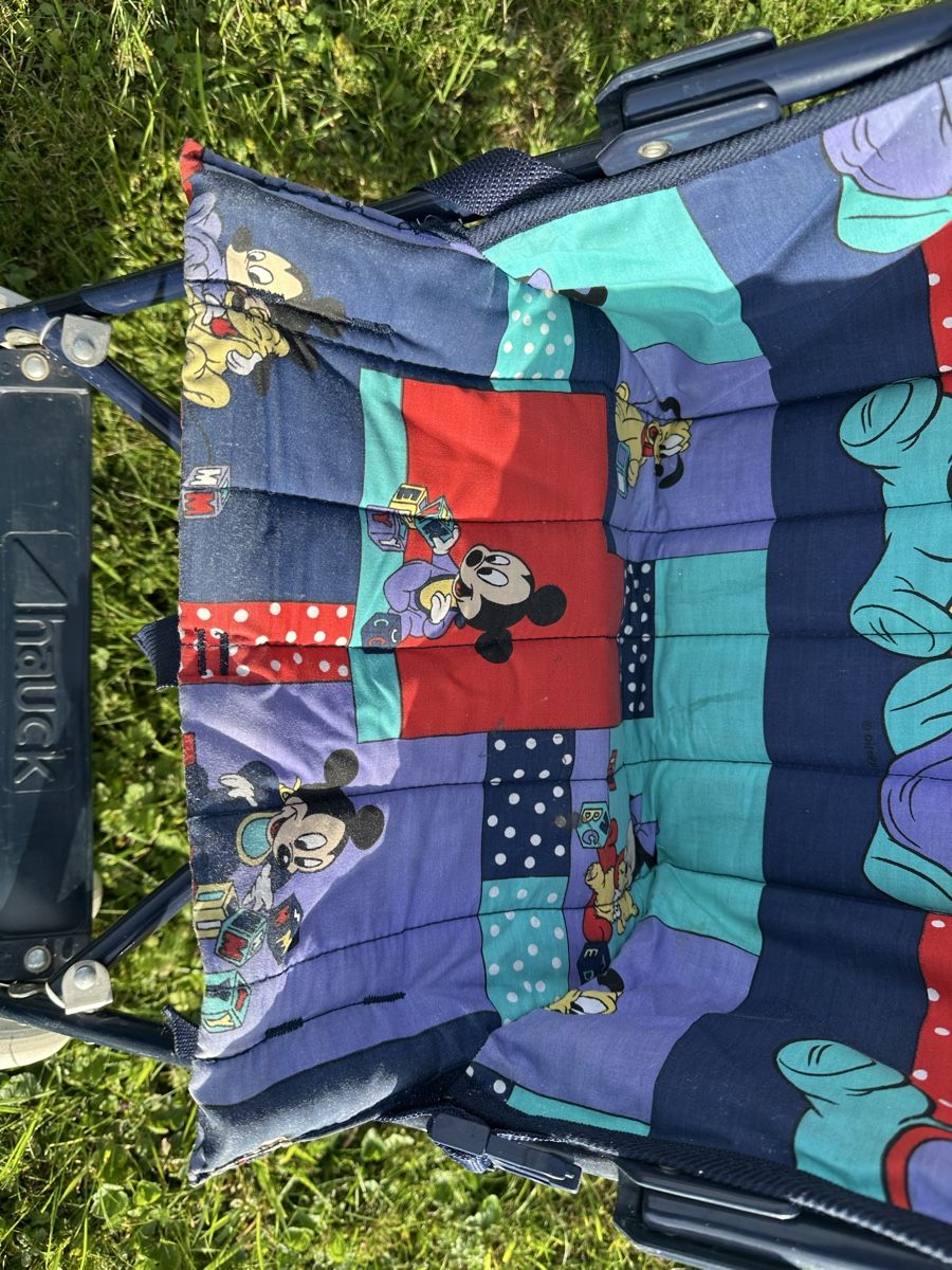 Kinderwagen: Disney Buggy  gute Zustand – Gebraucht aus Uster von bek_v2ct 1