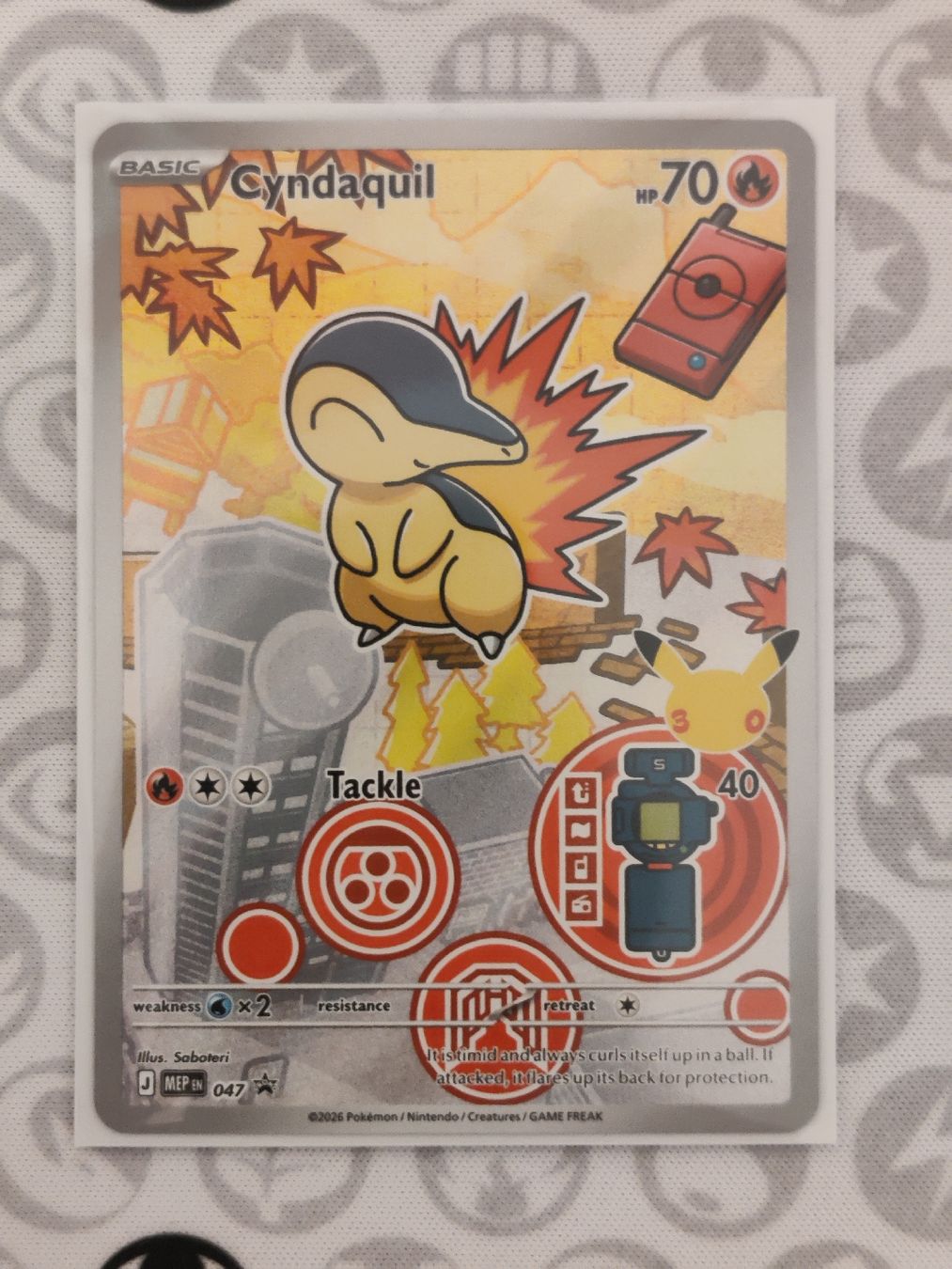 Pokémon Carte collezionabili: #3 Pokémon Starter Johto EN – Nuovo (secondo la descrizione) da Steffisburg venduto da HMStufi 2