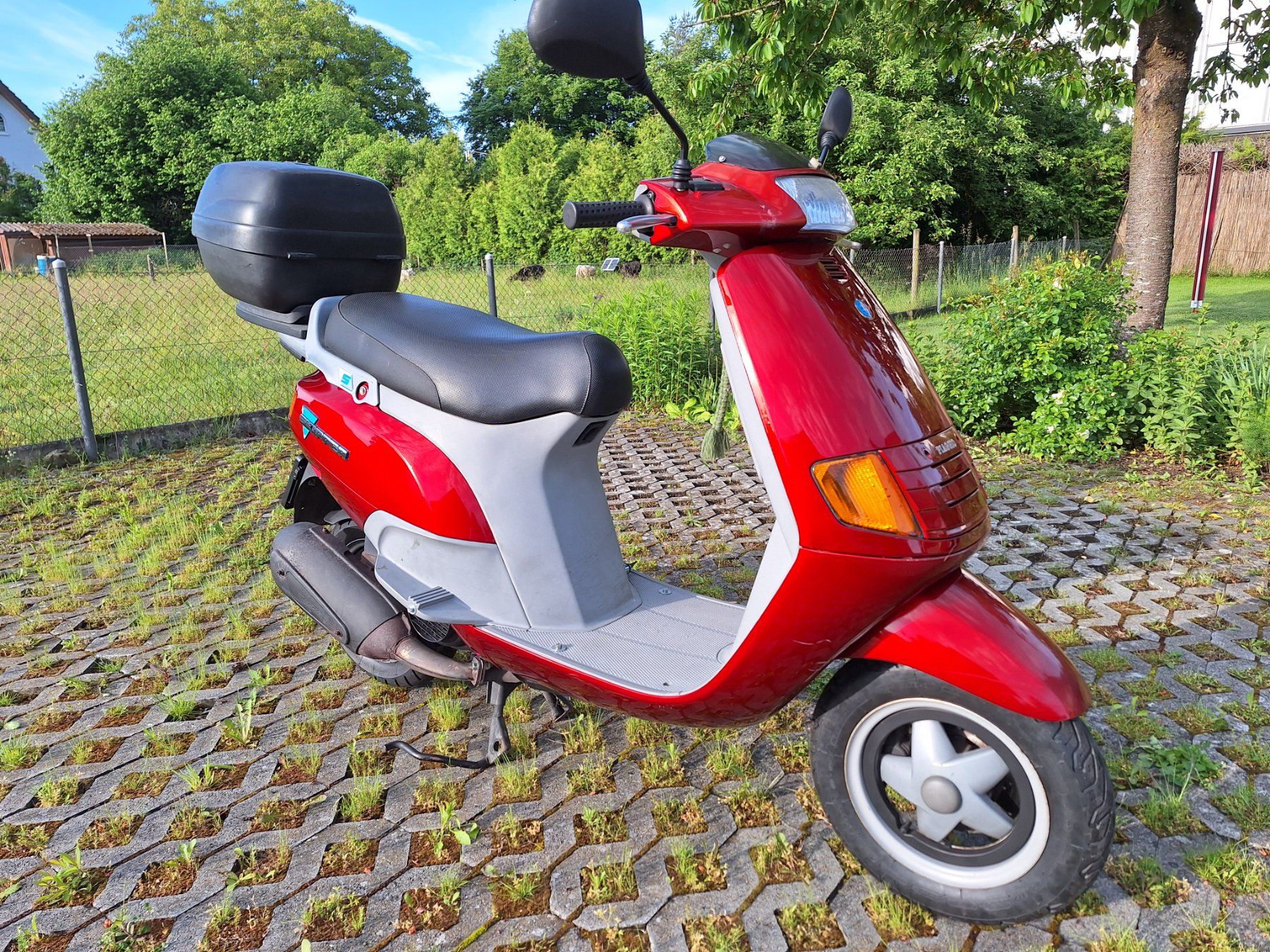 Piaggio Scooters: Piaggio Skipper – Gebraucht aus Utzenstorf von