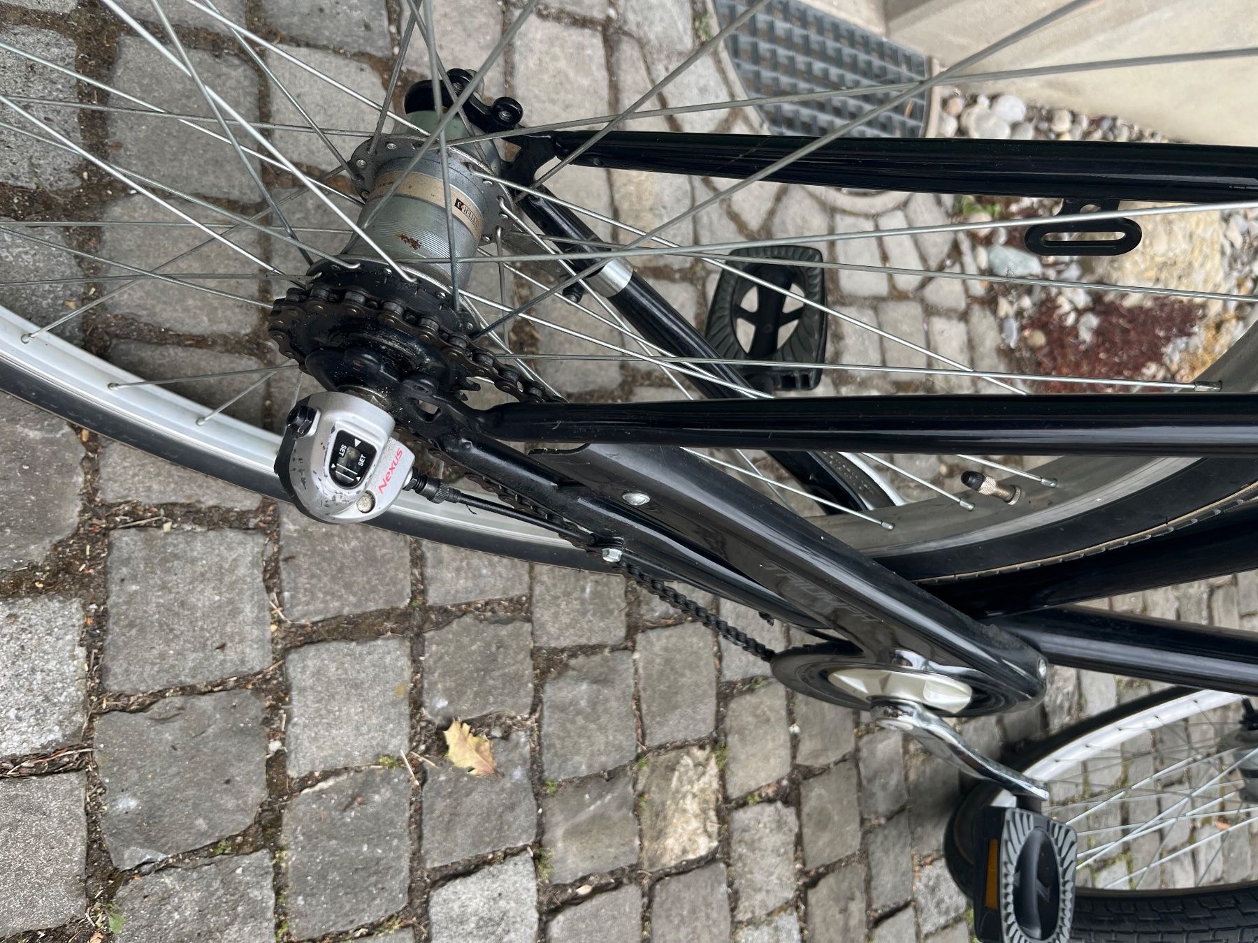Velos: Triumph Kultrad – Gebraucht aus Stäfa von han_d8wv 4