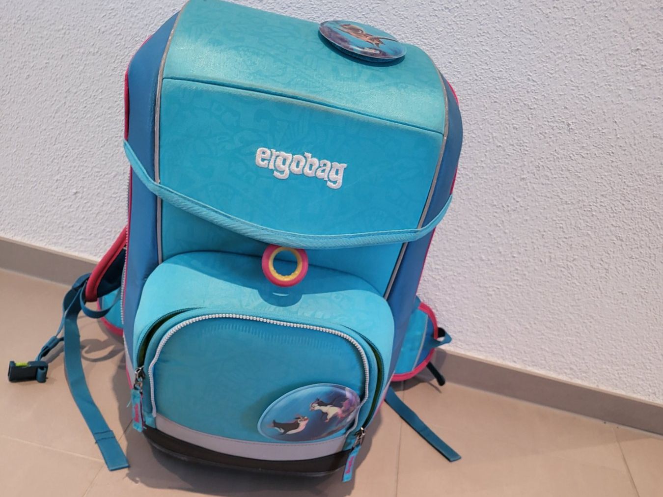 Ergobag Borse & Zaini: Ergobag Schülerthelk – Usato da Güttingen venduto da cjps 1