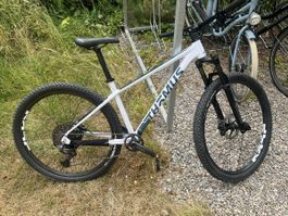 Thömus Tomcat Fahrrad 