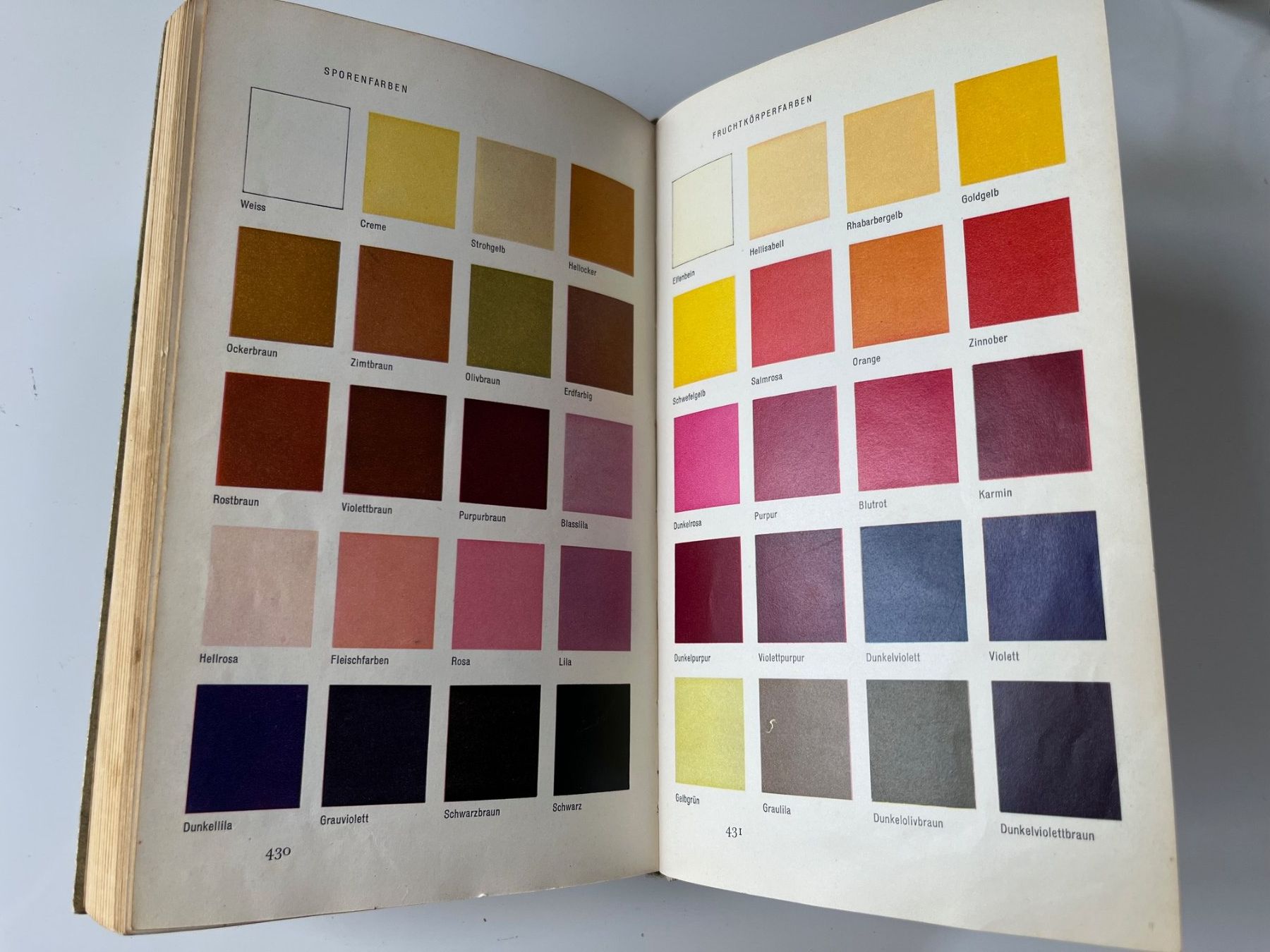 Libri: Kleine Pilzkunde Mitteleuropas 1960 – Usato da Laufen venduto da Nuria44 3
