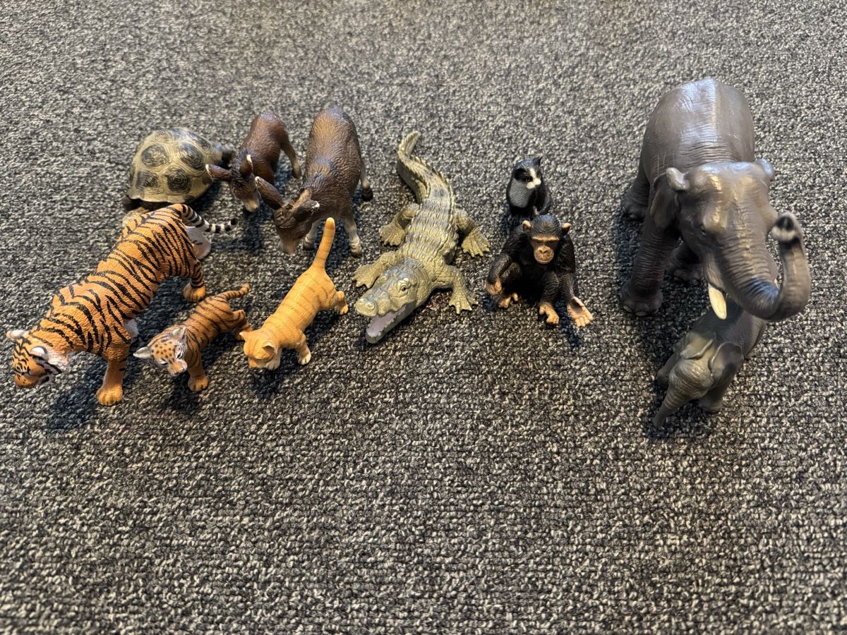 Schleich Statuette: 19 Stk. Schleich- und Bullyland-Tiere – Usato da Wermatswil venduto da angre 3