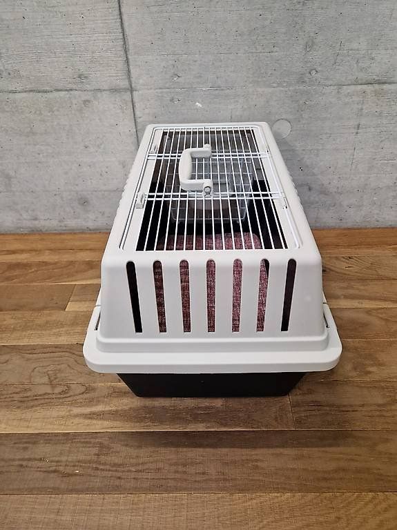 Gabbie, trasporto & Sicurezza: Hundetransportbox – Usato da Basel venduto da Angegiulio 2