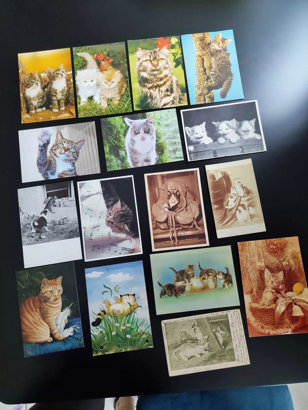 Cartoline postali: 16 Postkarten mit Katzenmotiven – Usato da Ohmstal venduto da Lebensfreude05