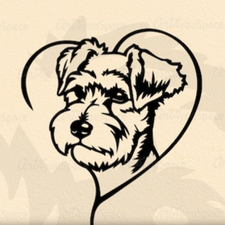 Profile image of Knut8