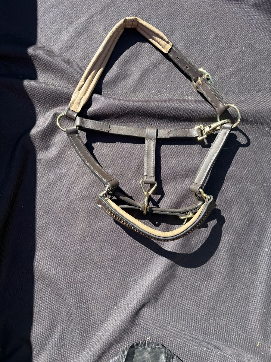 Brides, licols: Halfter Pony – D'occasion à Binningen par chi_n7g2