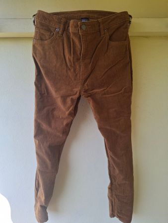 Patagonia Cordhose (30)