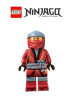 Lego Ninjago Nya - Legacy njo0491