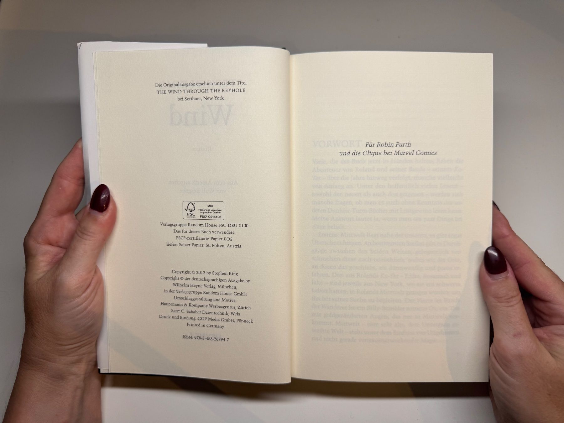 Libri: ROMAN: Stephen King, Wind – Usato da Grosswangen venduto da Deutsche_Romane 3