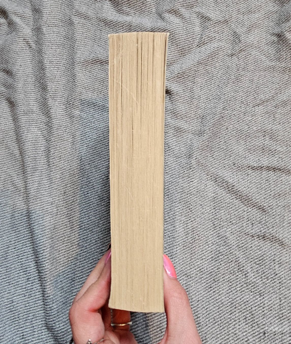 Libri: Die Bildhauerin: Roman von Minette Walters – Usato da Füllinsdorf venduto da Sunnebliemli7 2