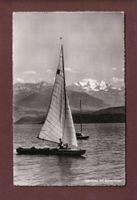 THUNERSEE - Segelschiff - Blümlisalp - 1956
